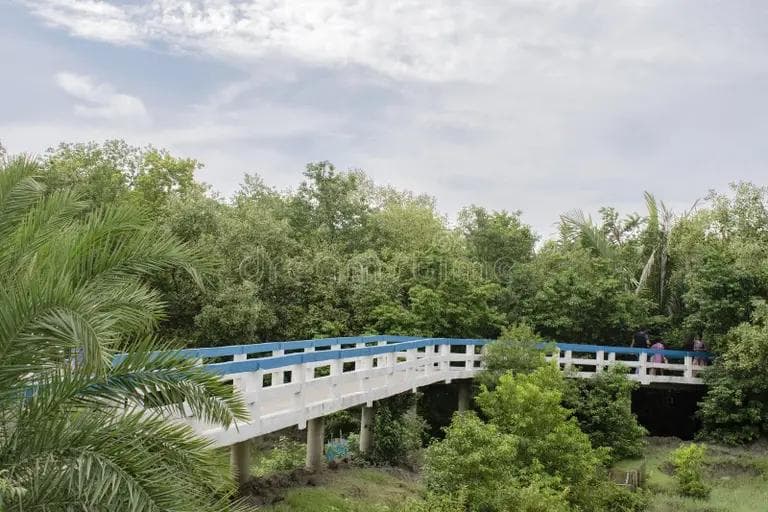 Taki - One Night 2 Days Outing from Kolkata